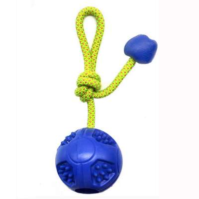 Pet Dog Training Toys Ball Indestructible Solid Rubber Balls Chew Play Fetch Bite Toys with Carrier Rope Bite